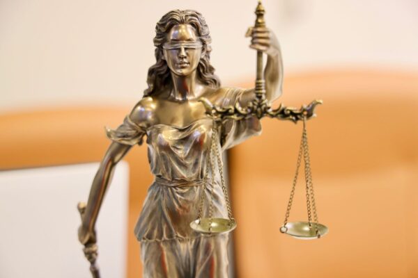 Litigation Support — Lady Justice